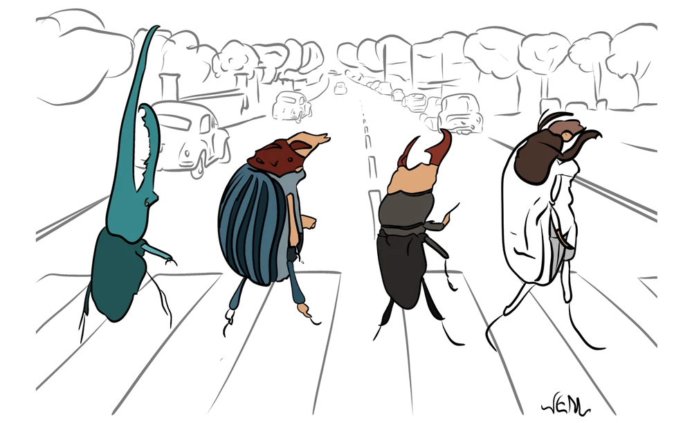 Original artwork for Beetles: Abbey Road