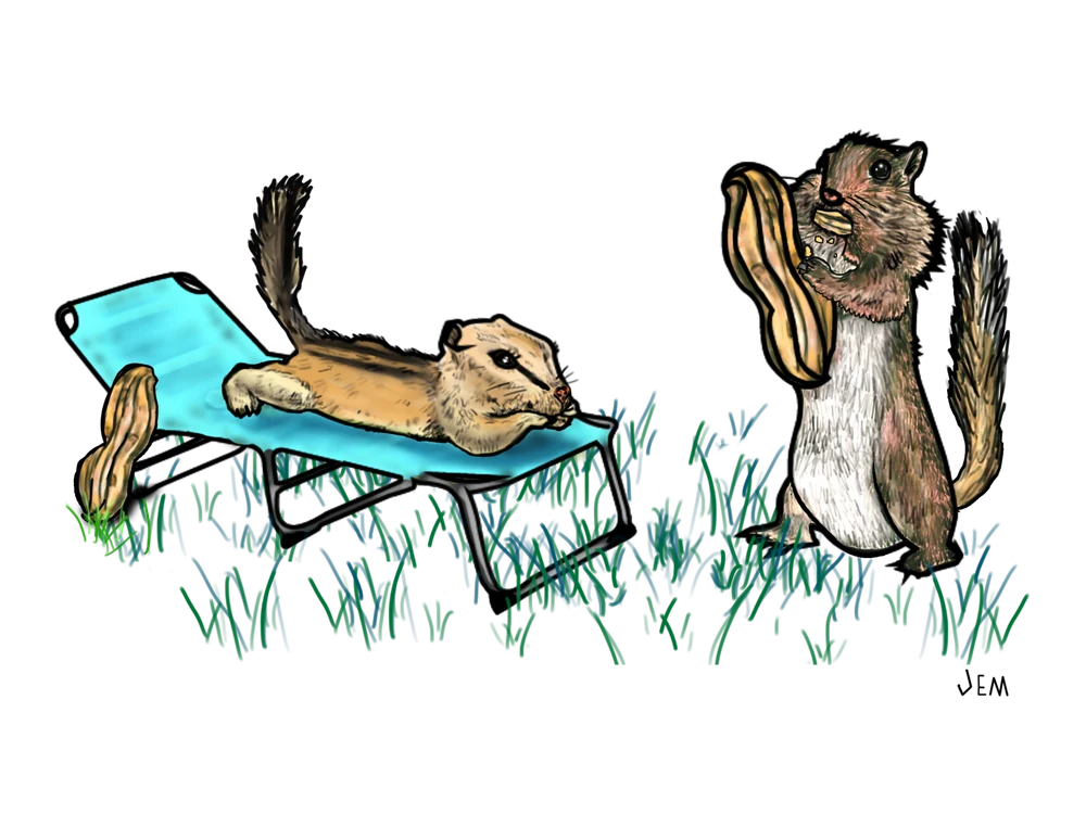 Original artwork for Flirtin Chipmunks